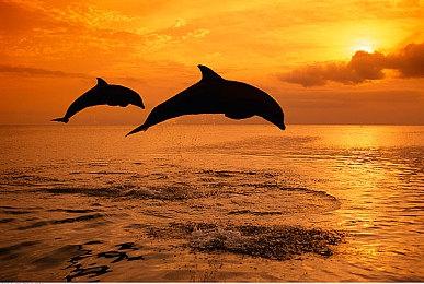 《暗黑破坏神：不朽》延期公告 亚服7月8日推出